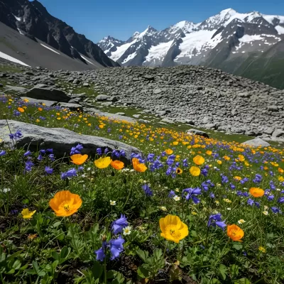 Imagen PNG para descargar